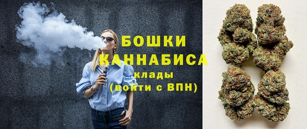гидра Мегион