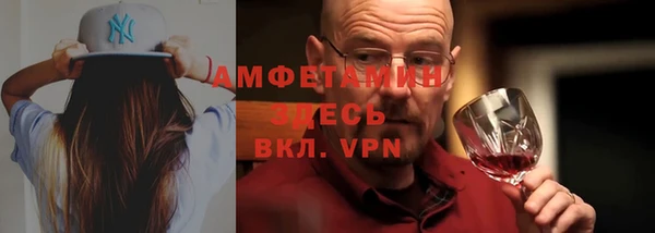 гидра Мегион